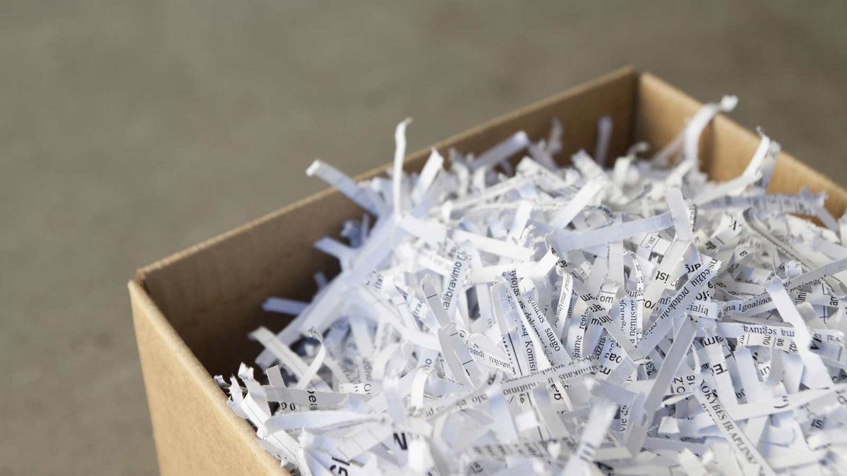 Look for Local “Free Shred Days” to Safely Dispose of Sensitive Documents –  LifeSavvy