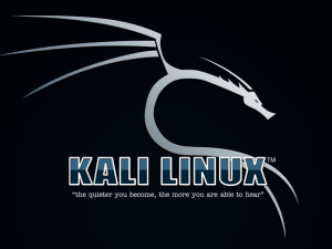 kali linux logo 100645937 orig