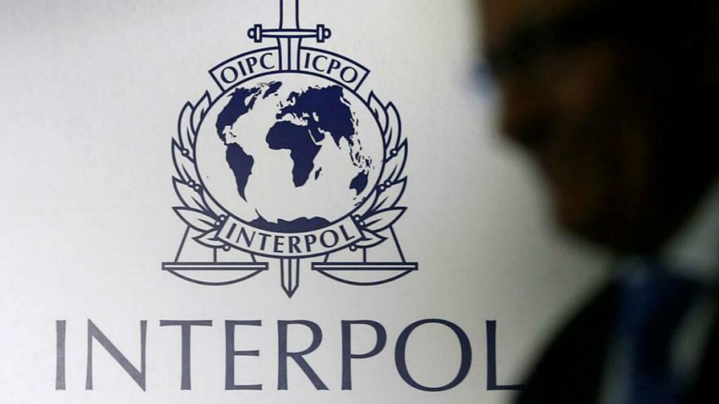 interpol 1000 arrested