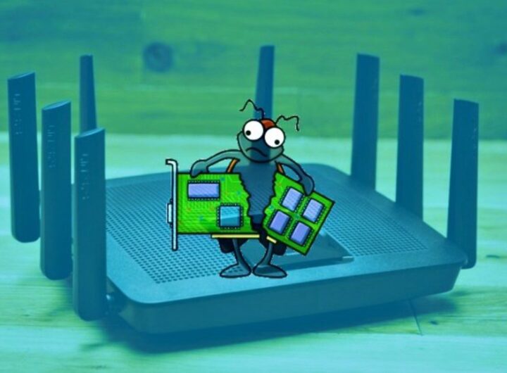 router bug