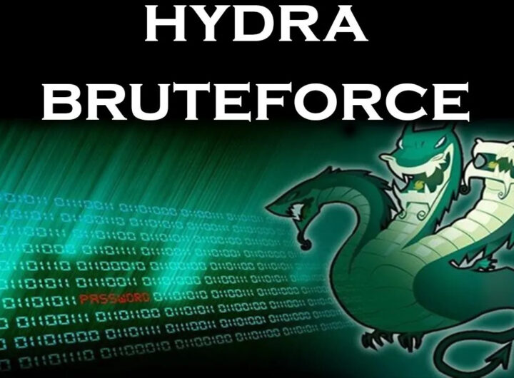 how to use hydra